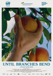 until-branches-bend-vost