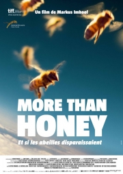 more-than-honey